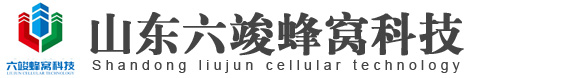 山東省六竣蜂窩科技有限公司